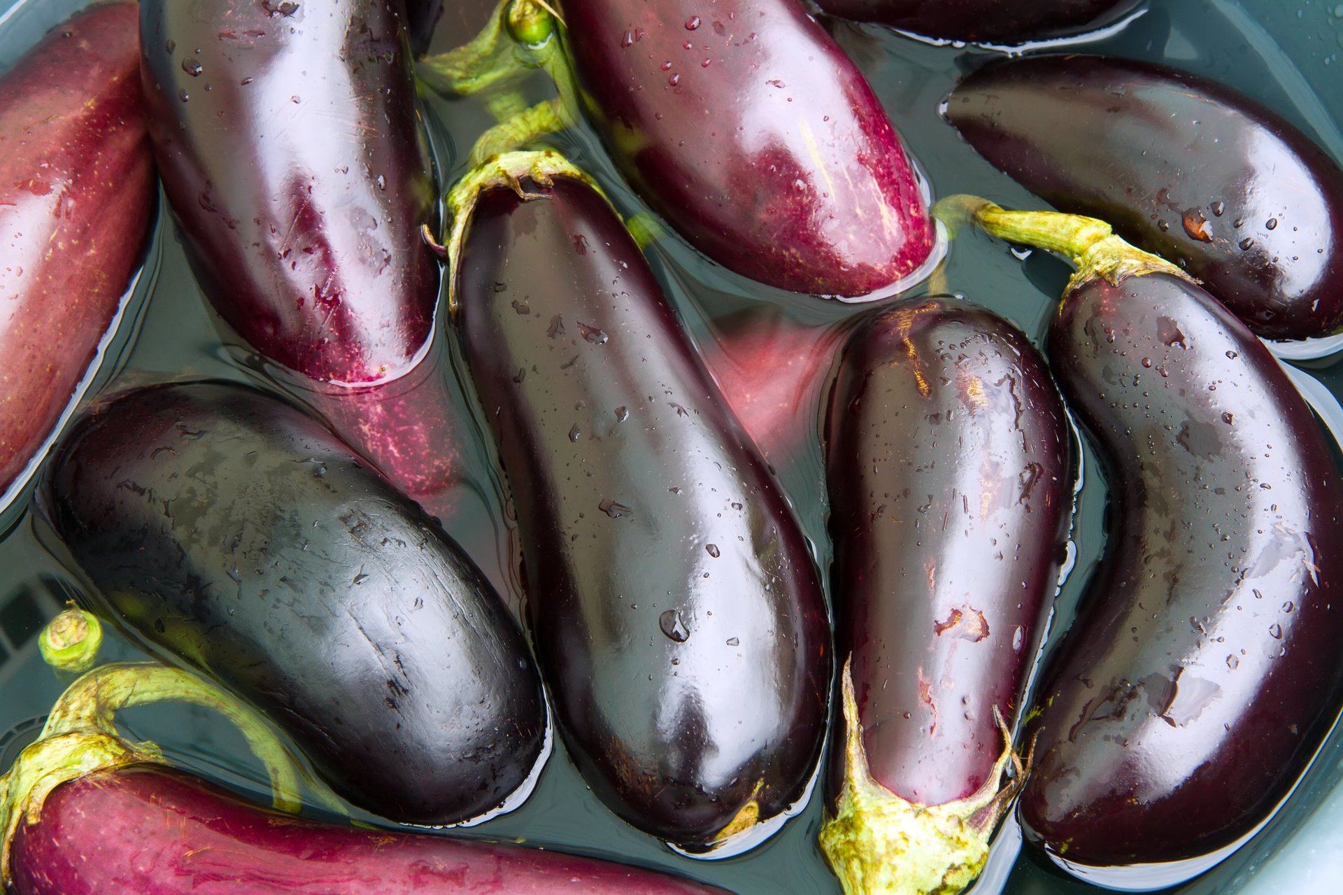 Fresh eggplant in water. Preparation for the preservation of natural eggplants.