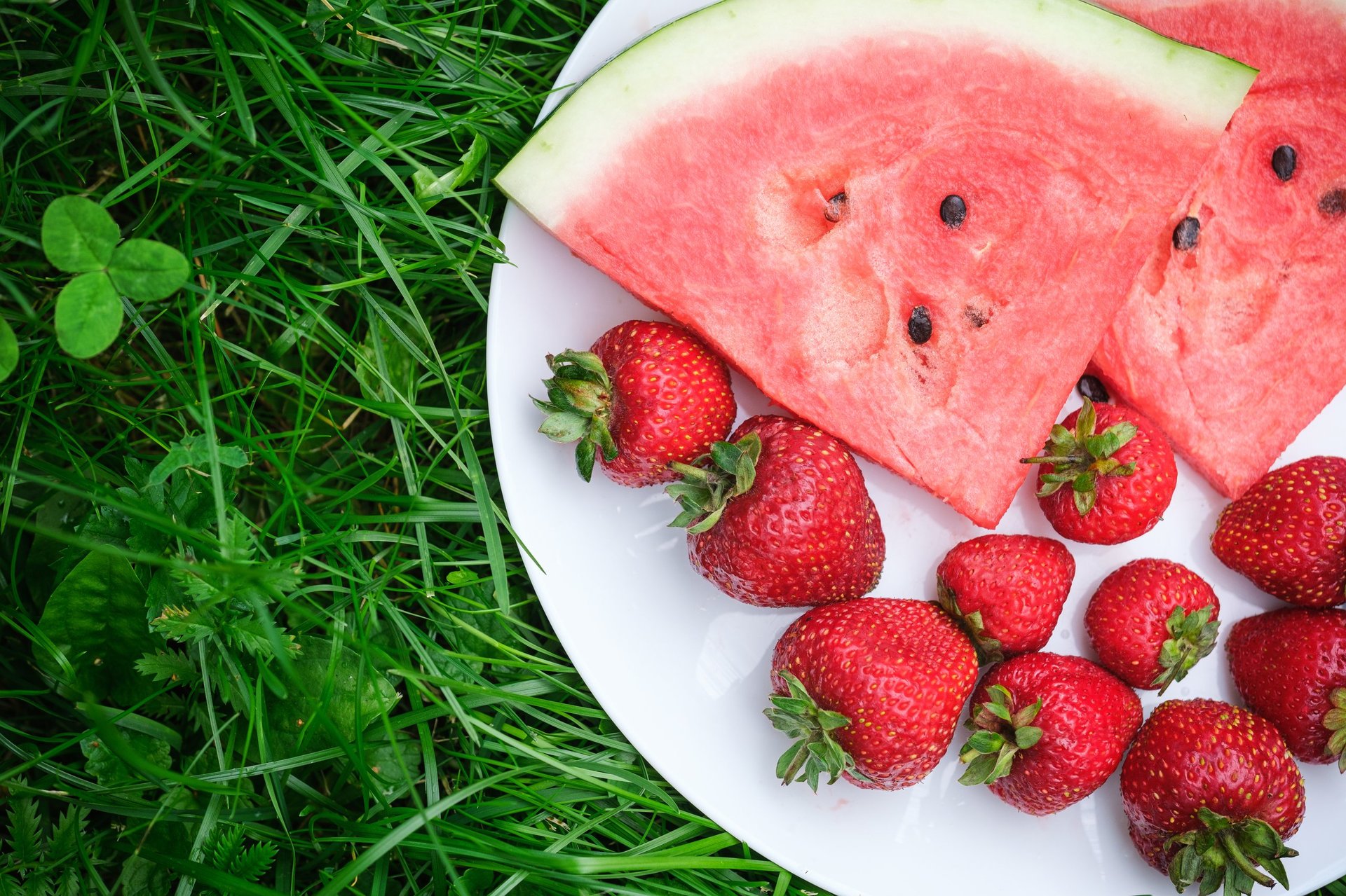 sliced watermelon wedges and red strawberries lie on a white plate on the grass